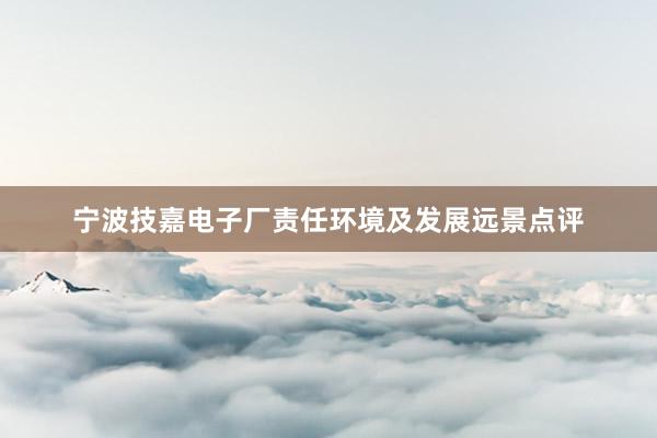 宁波技嘉电子厂责任环境及发展远景点评
